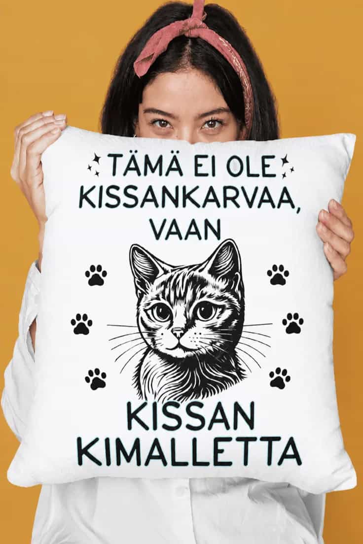 Koristetyyny Kissan kimalle – TÄMÄ EI OLE