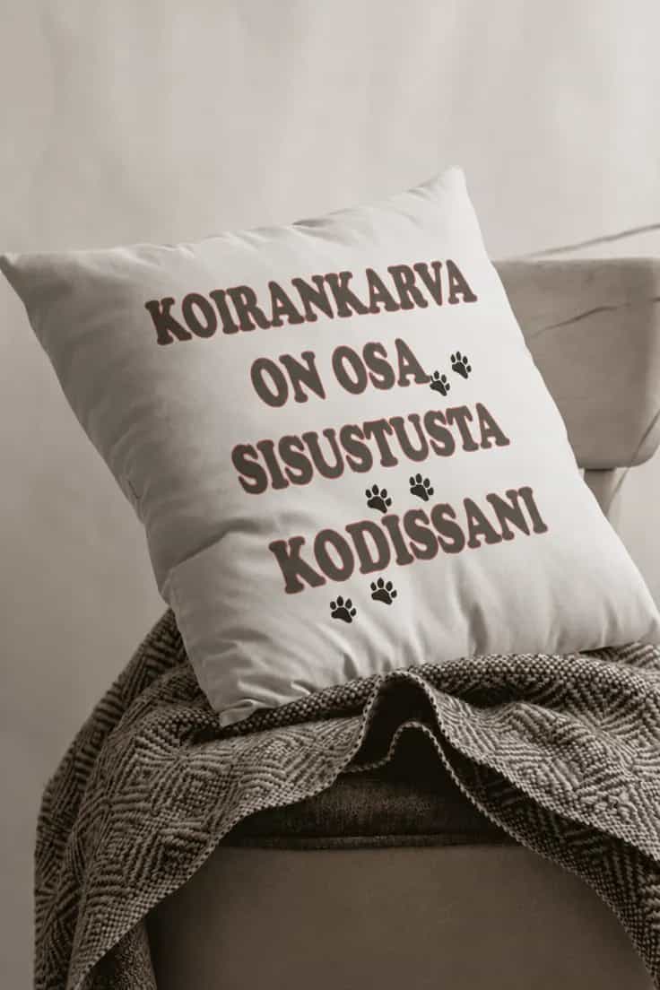 Koristetyyny Koirankarva on sisustusta