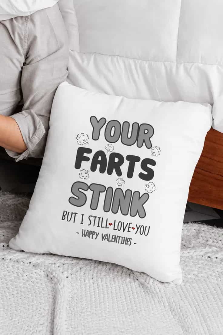 Koristetyyny Pieruvitsi ystävänpäiväksi | YOUR FARTS